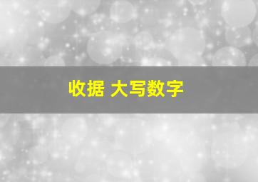 收据 大写数字